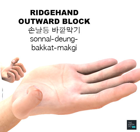 Ridgehand Outward Block ( 손날등 바깥막기 sonnal-deung-bakkat-makgi )