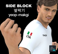 Side Block ( 옆막기 yeop-makgi )