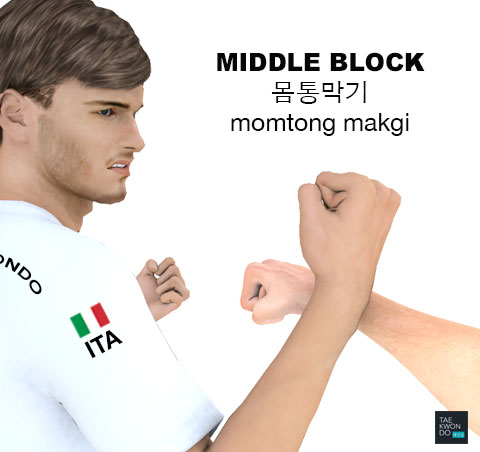 Middle Block ( 몸통막기 momtong makgi )