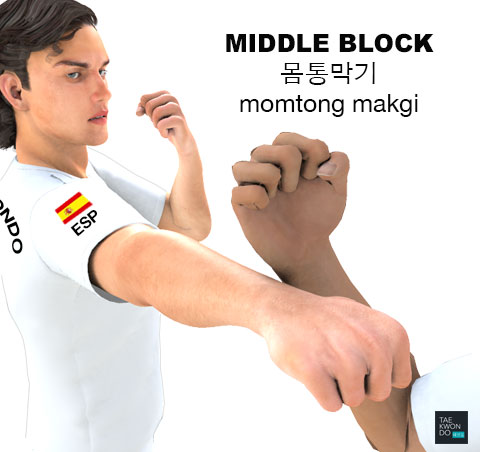 Middle Block ( 몸통막기 momtong makgi )