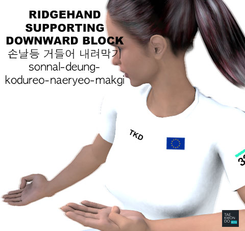 Ridgehand Supporting Downward Block ( 손날등 거들어 내려막기 sonnal-deung-kodureo-naeryeo-makgi )