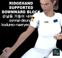 Ridgehand Supporting Downward Block ( 손날등 거들어 내려막기 sonnal-deung-kodureo-naeryeo-makgi )