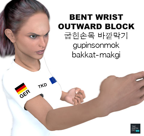 Bent Wrist Outward Block ( 굽힌손목 바깥막기 gupinsonmok-bakkat-makgi )