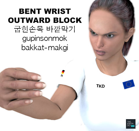 Bent Wrist Outward Block ( 굽힌손목 바깥막기 gupinsonmok-bakkat-makgi )