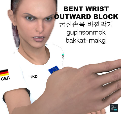 Bent Wrist Outward Block ( 굽힌손목 바깥막기 gupinsonmok-bakkat-makgi )