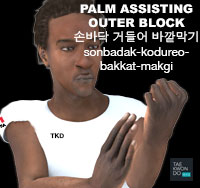 Palm Assisting Outer Block ( 손바닥 거들어 바깥막기 sonbadak-kodureo-bakkat-makgi )