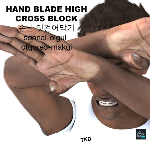 Knifehand High Cross Block ( 손날 엇걸어막기 sonnal-olgul-otgoreo-makgi )