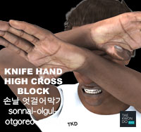 Hand Blade High Cross Block ( 손날 엇걸어막기 sonnal-olgul-otgoreo-makgi )