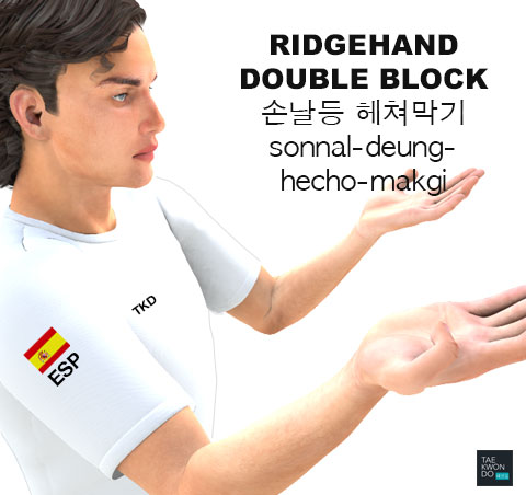 Ridgehand Double Block ( 손날등 헤쳐막기 sonnal-deung-hecho-makgi )