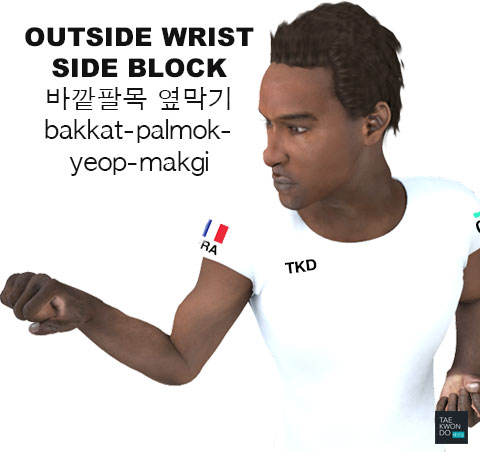 Outside Wrist Side Block ( 바깥팔목 옆막기 bakkat-palmok-yeop-makgi )