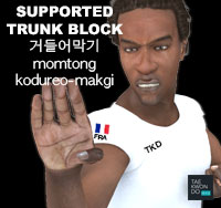 Supported Trunk Block ( 거들어막기 momtong-kodureo-makgi )