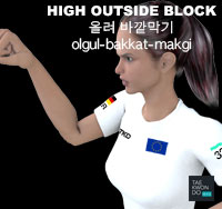 High Outside Block ( 올려 바깥막기 olgul-bakkat-makgi )