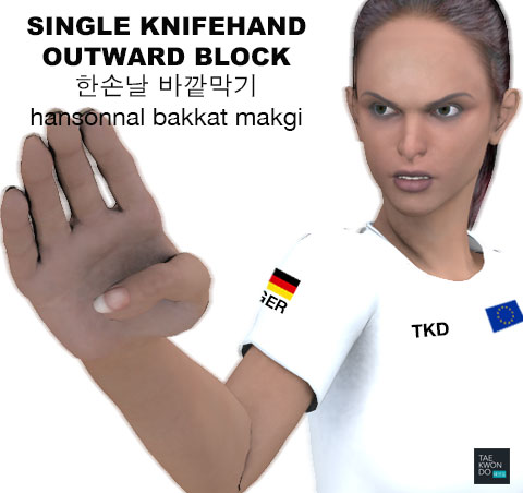 Single Knife Hand Outward Block ( 한손날 바깥막기 hansonnal bakkat makgi )