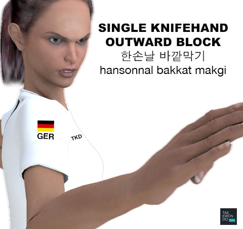 Single Knife Hand Outward Block ( 한손날 바깥막기 hansonnal bakkat makgi )