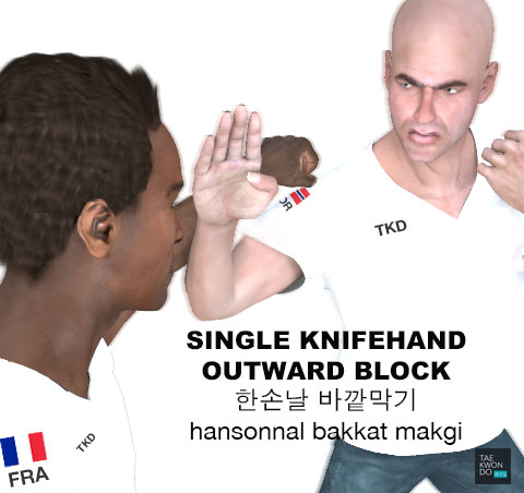 Single Knife Hand Outward Block ( 한손날 바깥막기 hansonnal bakkat makgi )