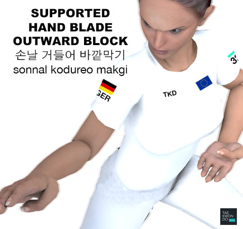 Supported Hand Blade Outward Block ( 손날 거들어 바깥막기 sonnal kodureo makgi )