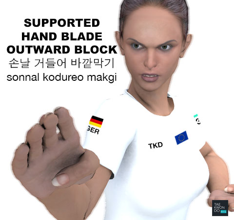 Supported Hand Blade Outward Block ( 손날 거들어 바깥막기 sonnal kodureo makgi )