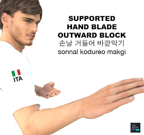 Supported Hand Blade Outward Block ( 손날 거들어 바깥막기 sonnal kodureo makgi )