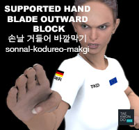 Supported Hand Blade Outward Block ( 손날 거들어 바깥막기 sonnal-kodureo-makgi )