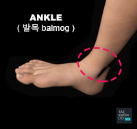 Ankle ( 발목 balmog )