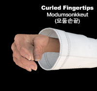 Curled Fingertips ( 모둠손끝 modumsonkkeut )