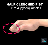 Half-clenched Fist ( 편주먹 pyeonjumeok )