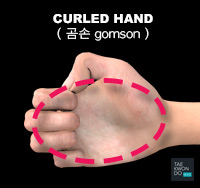 Curled Hand ( 곰손 gomson )