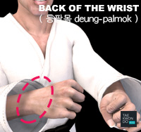 Back of the Wrist ( 등팔목 deung-palmok )