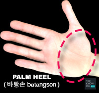 Palm Heel ( 바탕손 batangson )