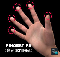 Fingertips ( 손끝 sonkkeut )