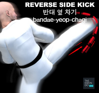 Reverse Side Kick ( 반대 옆 차기 bandae-yeop-chagi )