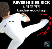 Reverse Side Kick ( 반대 옆 차기 bandae-yeop-chagi )