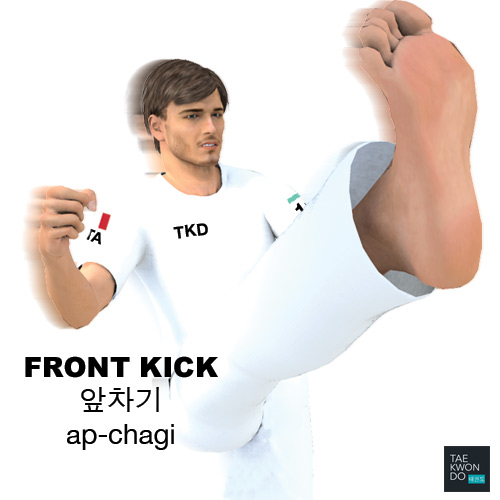 Front Kick ( 앞차기 ap-chagi )