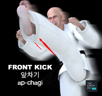 Front Snap Kick- ITF Taekwon-do Fundamentals 