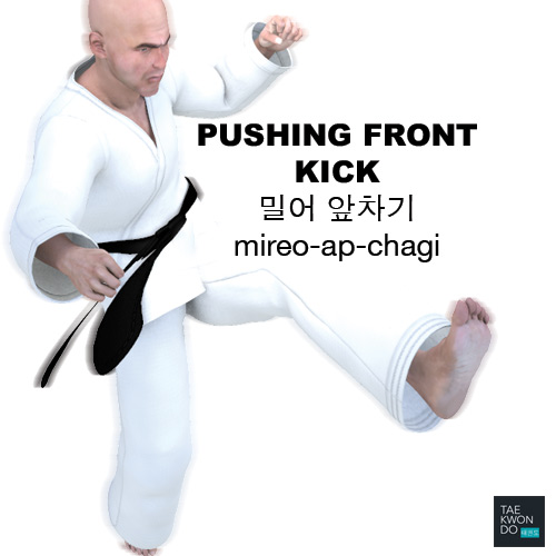 Pushing Front Kick ( 밀어 앞차기 mireo-ap-chagi )