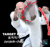 Target Kick ( 표적차기 pyojeok-chagi )