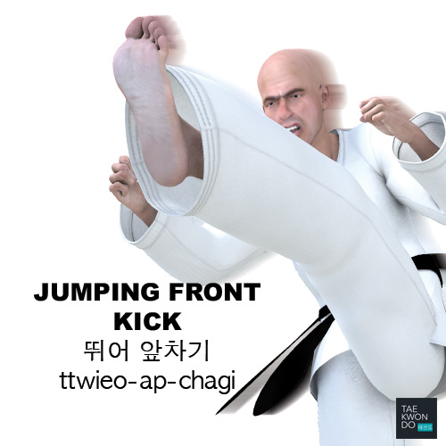 Jumping Front Kick ( 뛰어 앞차기 ttwieo-ap-chagi )