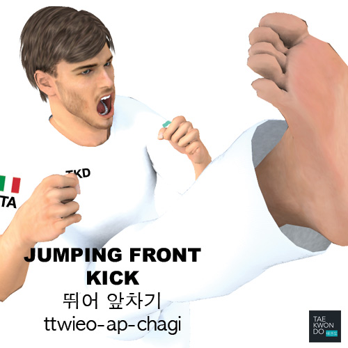 Jumping Front Kick ( 뛰어 앞차기 ttwieo-ap-chagi )