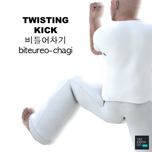 Twisting Kick ( 비틀어차기 biteureo-chagi )