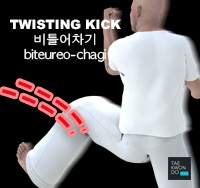 Twisting Kick ( 비틀어차기 biteureo-chagi )