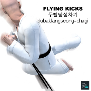 Flying Kicks ( 두발당성차기 dubaldangseong-chagi )