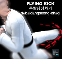 Flying Kick ( 두발당성차기 dubaldangseong-chagi )