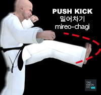 Push Kick ( 밀어차기 mireo-chagi )