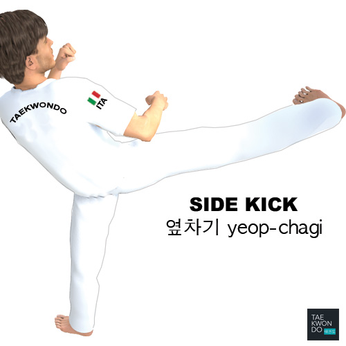 Side Kick ( 옆차기 yeop-chagi )