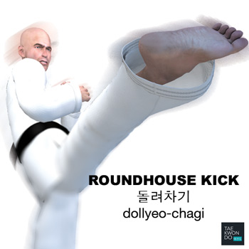 taekwondo roundhouse kick