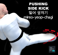 Pushing Side Kick ( 밀어 옆차기 mireo-yeop-chagi )