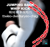 Jumping Back Whip Kick ( 뛰어 뒤후려차기 ttwieo-dwi-huryeo-chagi )