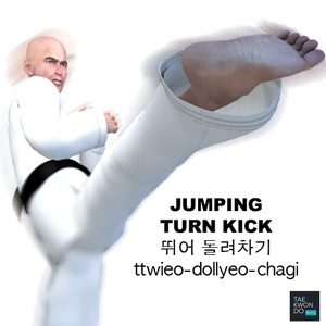 Jumping Turn Kick ( 뛰어 돌려차기 ttwieo-dollyeo-chagi )