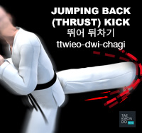 Jumping Back (Thrust) Kick ( 뛰어 뒤차기 ttwieo-dwi-chagi )