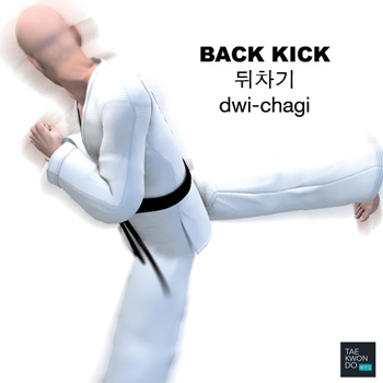 back kick